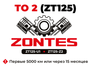 ТО-2 мотоциклов Zontes ZT125