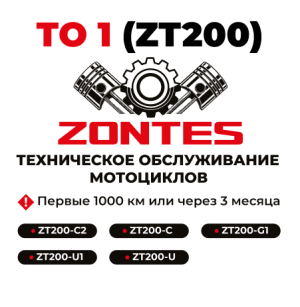 ТО-1 мотоциклов Zontes ZT200
