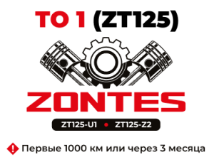 ТО-1 мотоциклов Zontes ZT125