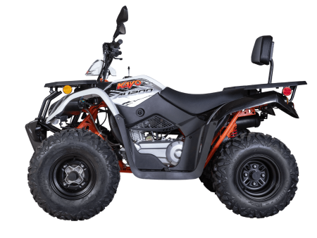 1560012-824-4045_1 1560012-824-4045_1