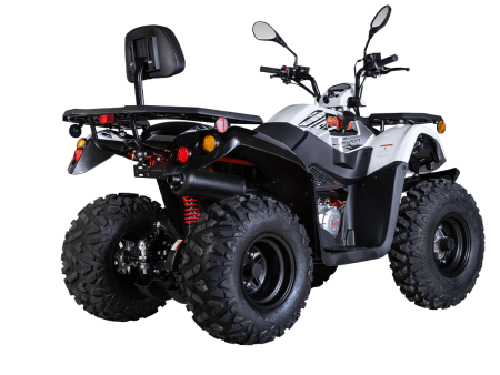 1560012-824-4045_4 1560012-824-4045_4